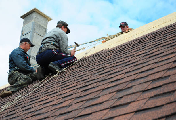 Quick and Trustworthy Emergency Roof Repair Services in Carlisle, PA